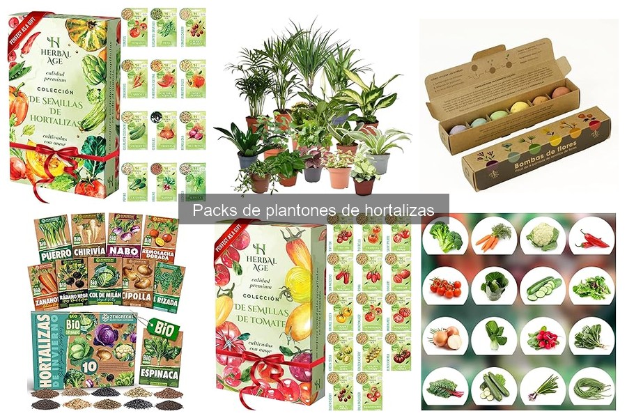 Packs de Plantones de Hortalizas: Ventajas y Características