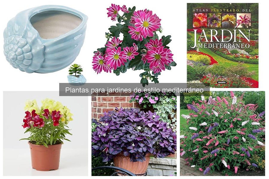 Plagas comunes en jardines mediterráneos y cómo controlarlas