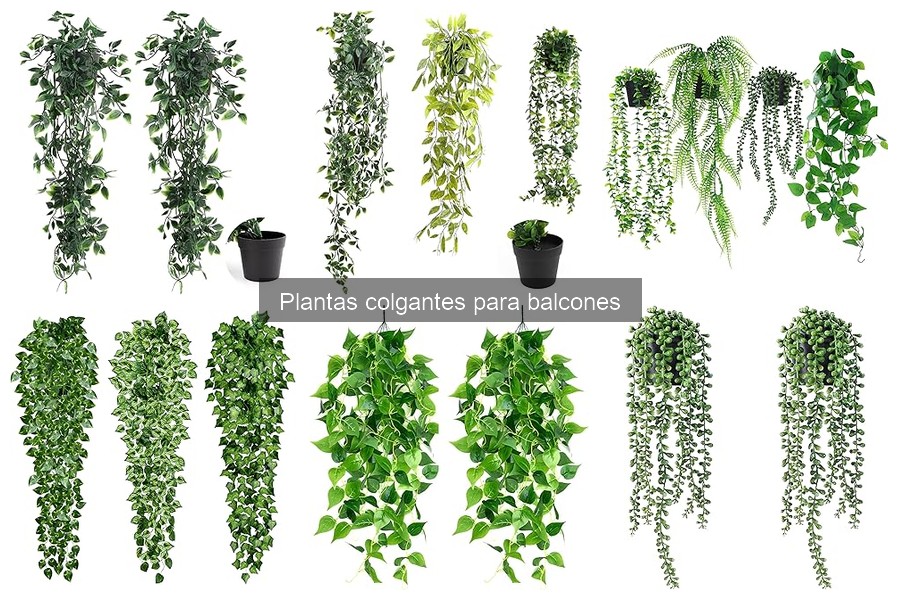 Plantas colgantes ideales para balcones: variedades y cuidados