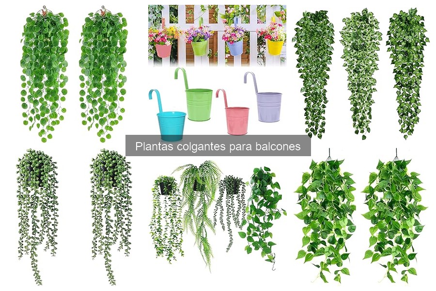 Plantas colgantes: ideales para espacios pequeños en balcones