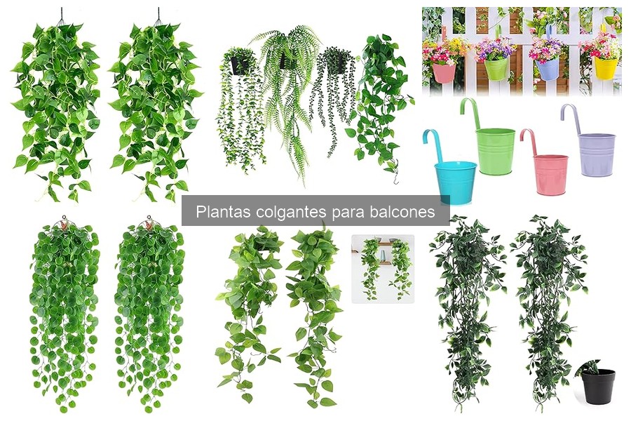 Plantas colgantes que atraen polinizadores para tu balcón