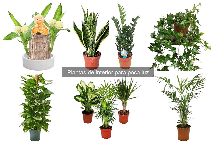Plantas de interior para poca luz seguras para mascotas