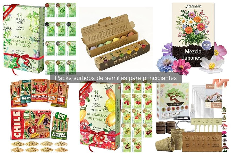 Plantas fáciles de cultivar para principiantes en jardinería