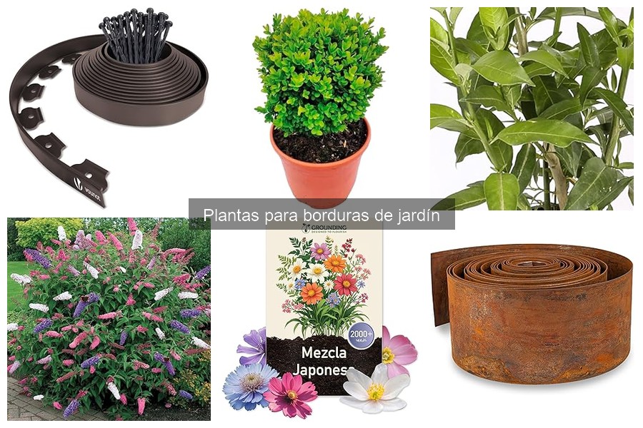 Plantas invasivas que debes evitar en borduras de jardín