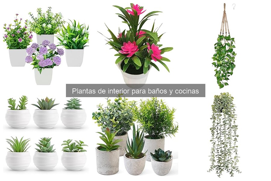Plantas para baños pequeños: opciones ideales y decorativas