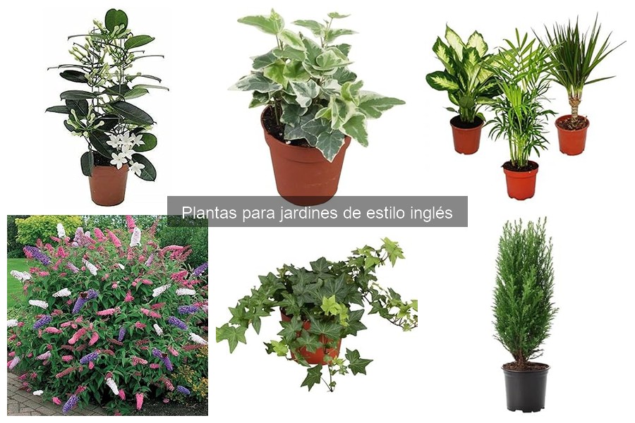 Plantas resistentes para un jardín inglés fácil de mantener