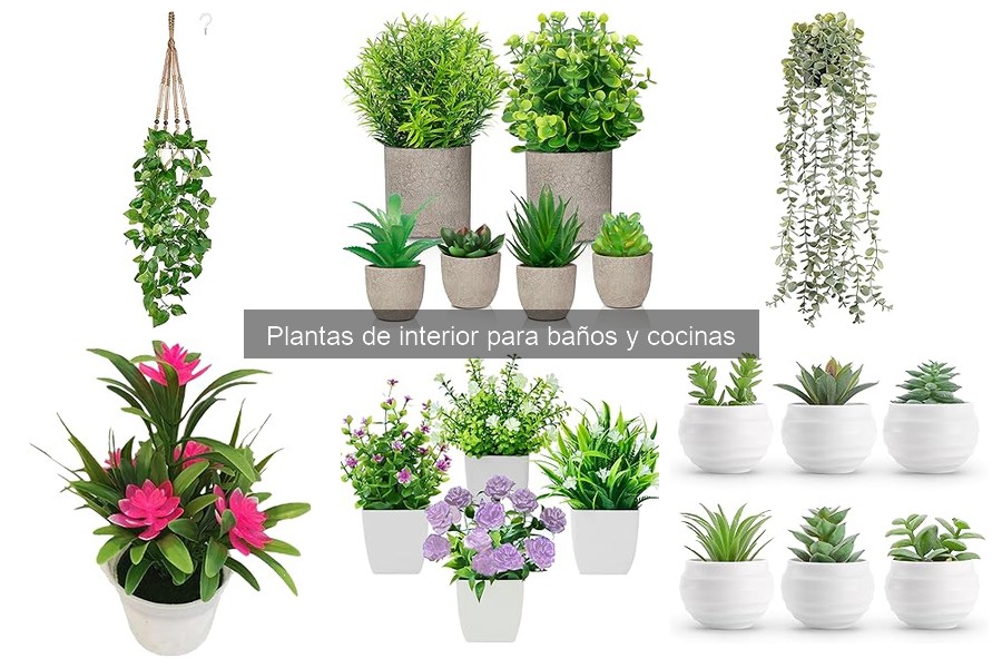 Plantas seguras para mascotas en baños: guía esencial