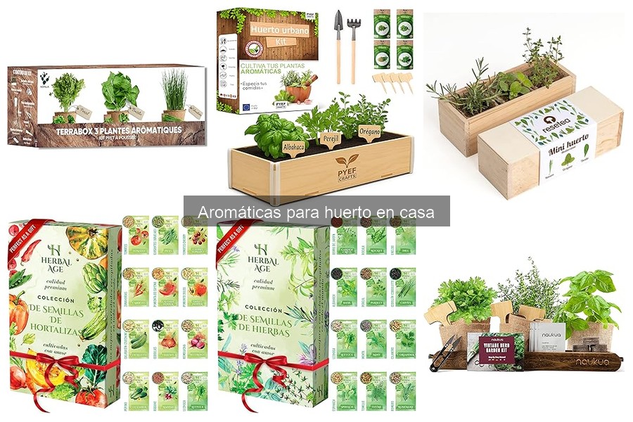¿Por qué no crecen mis hierbas aromáticas? Soluciones aquí