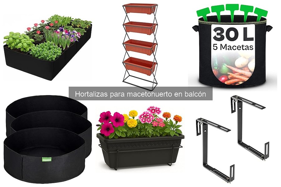 ¿Por qué no crecen mis hortalizas en macetas? Soluciones