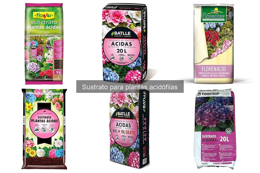 Precio ideal de sustrato para plantas acidófilas 2023