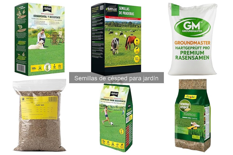 Precio promedio de semillas de césped: guía 2023