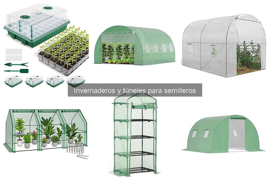 Precios de invernaderos para semilleros y dónde comprarlos