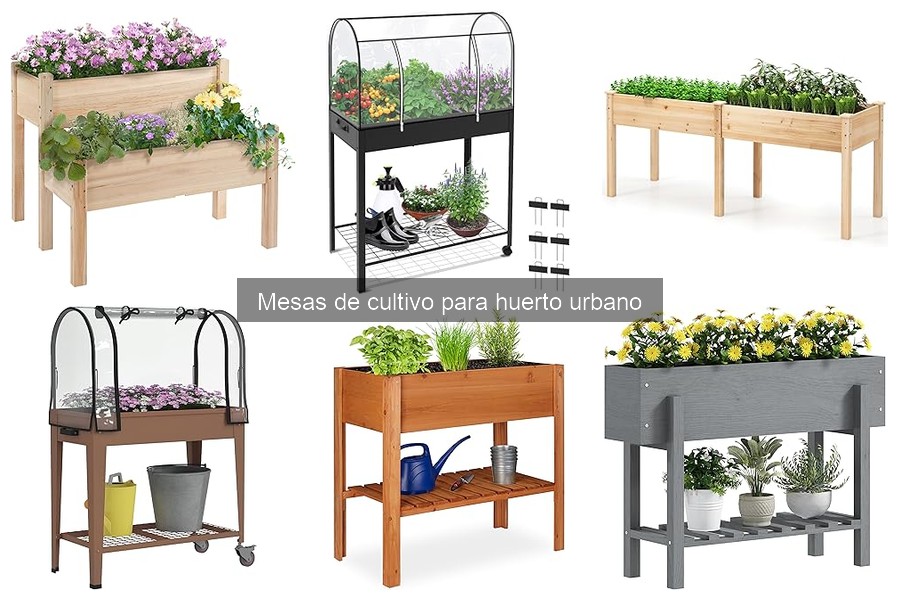 Precios de Mesas de Cultivo: ¿Dónde Comprar las Mejores?
