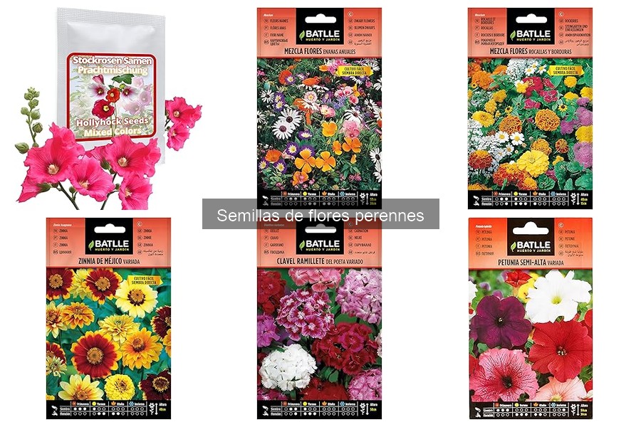 Precios de semillas de flores perennes: compara y ahorra