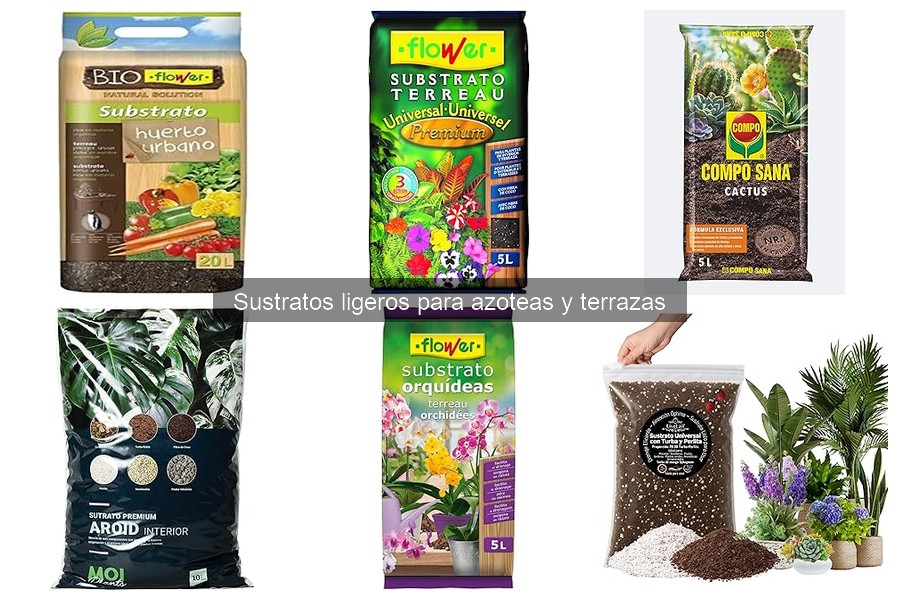 Precios de sustratos ligeros para azoteas y dónde comprarlos