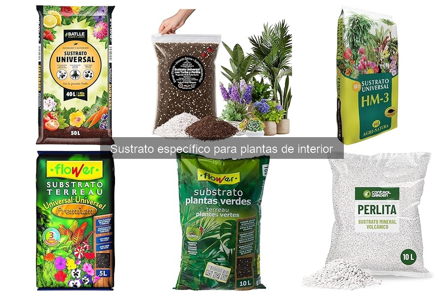 Precios de sustratos para plantas de interior en Amazon