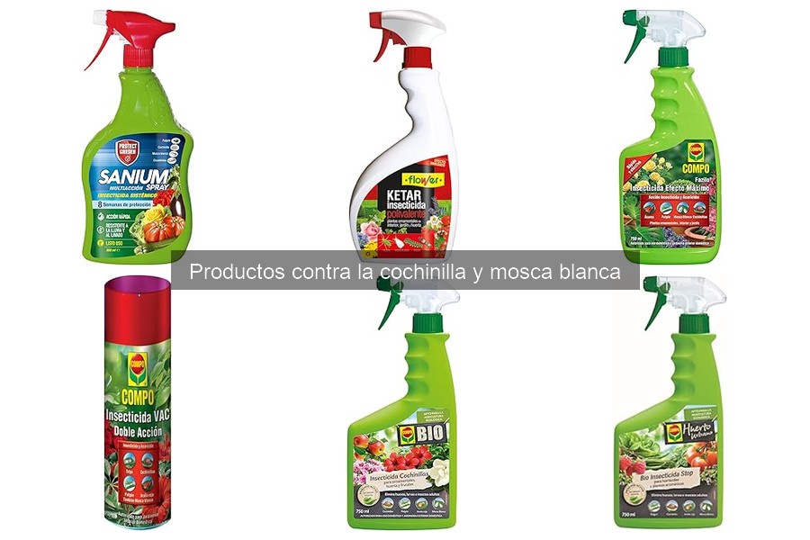 Precios de tratamientos para cochinilla y mosca blanca