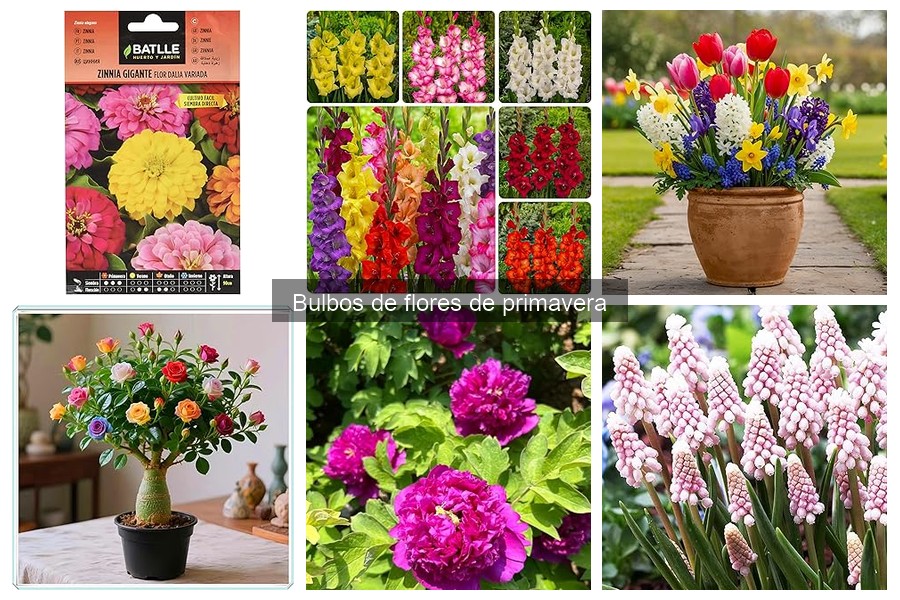 Precios y dónde comprar bulbos de flores de primavera