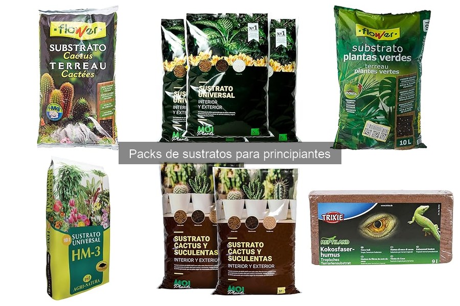 Precios y Dónde Comprar Packs de Sustratos para Principiantes