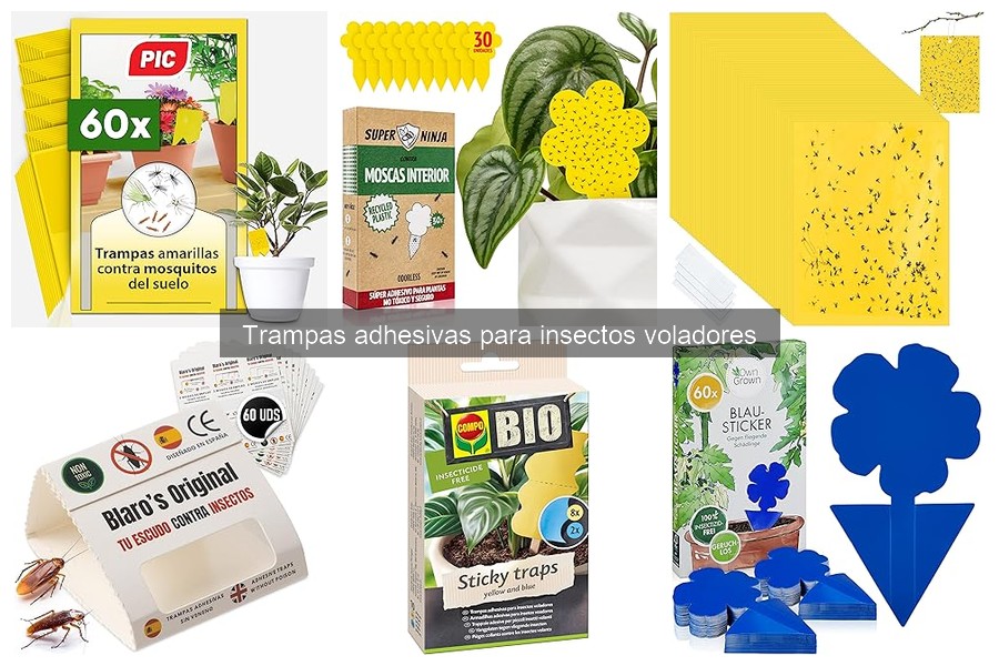 Precios y Dónde Comprar Trampas Adhesivas para Insectos Voladores