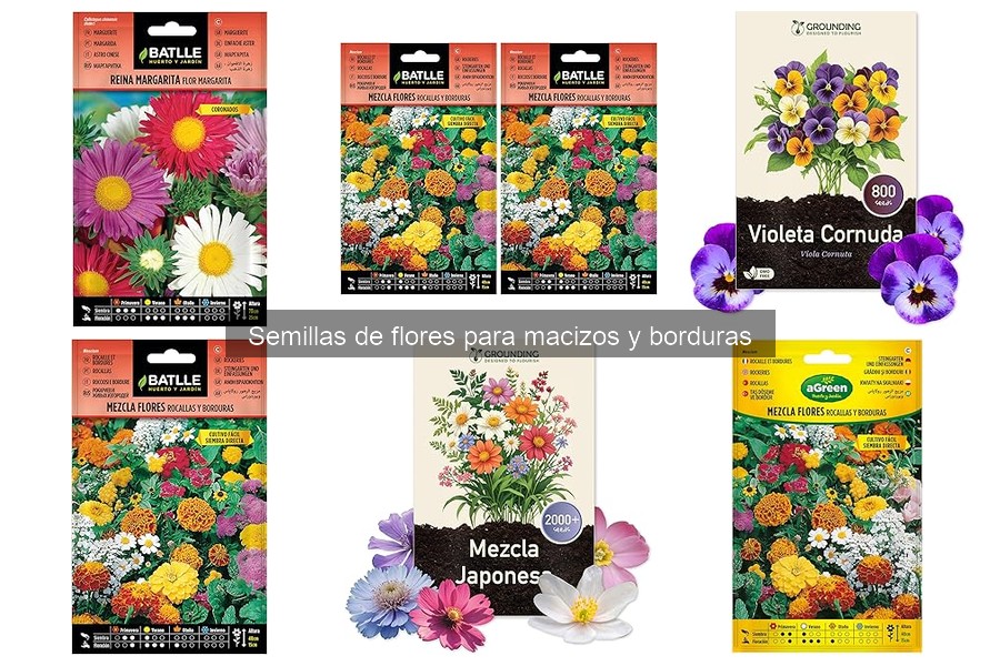 Precios y tiendas de semillas de flores para macizos