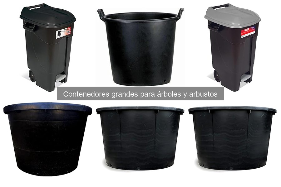 Preguntas Frecuentes sobre Contenedores Grandes para Árboles