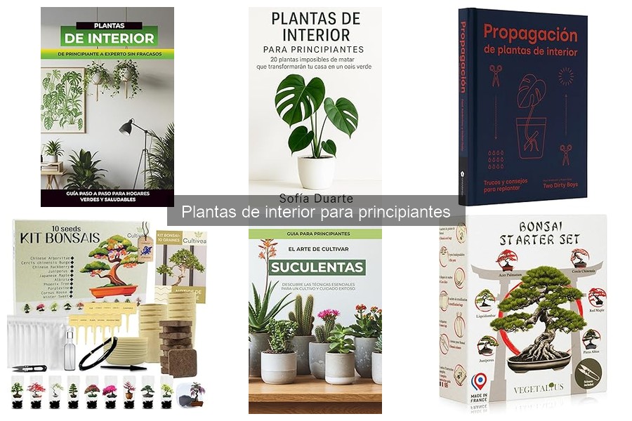 Preguntas Frecuentes sobre Plantas de Interior para Principiantes