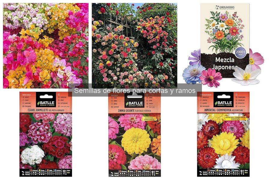 Prevención de plagas en flores cortadas: consejos útiles