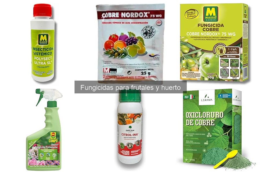 Prevención del moho en frutales: consejos clave