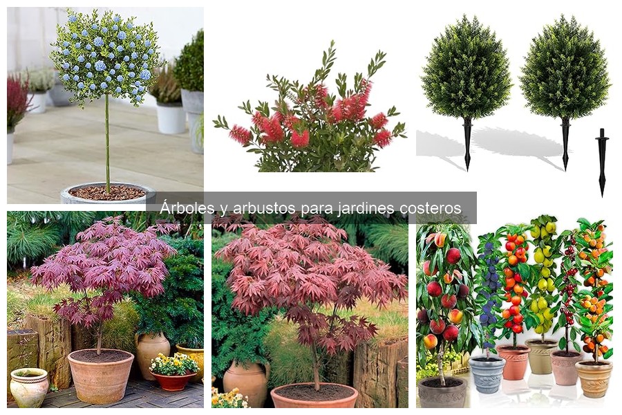 Problemas Comunes al Cultivar Árboles en Jardines Costeros