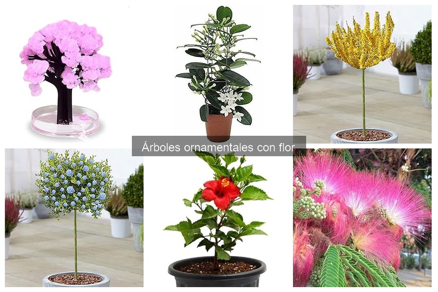 Problemas comunes al cultivar árboles ornamentales con flor