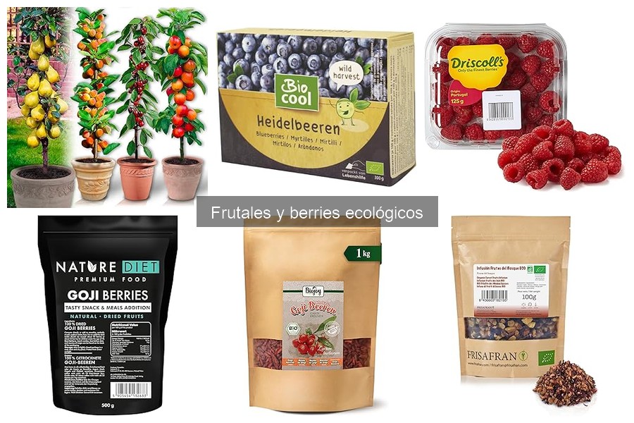 Problemas comunes al cultivar frutales ecológicos y soluciones