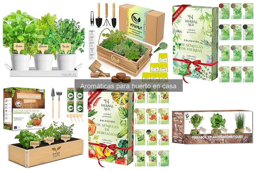 ** Problemas comunes al cultivar hierbas aromáticas y soluciones