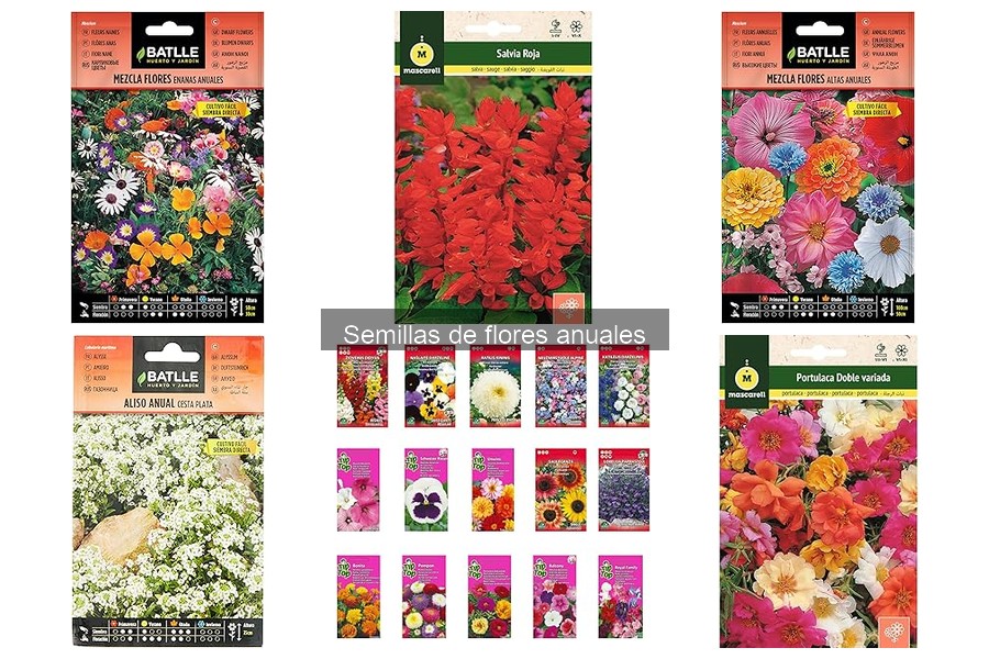 Problemas Comunes al Cultivar Semillas de Flores Anuales