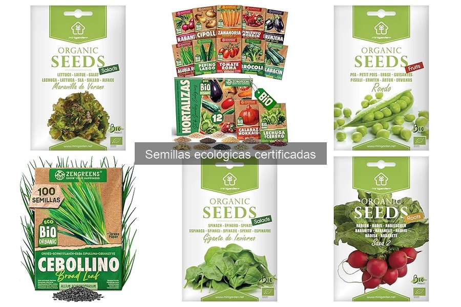 Problemas comunes al cultivar semillas ecológicas y soluciones