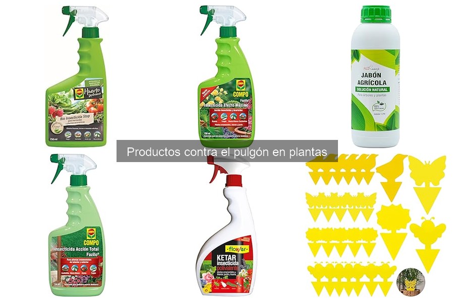 Problemas comunes al tratar pulgones en plantas y soluciones