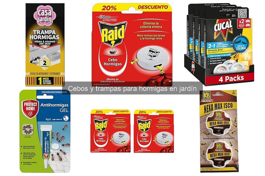 Problemas comunes al usar cebos y trampas para hormigas