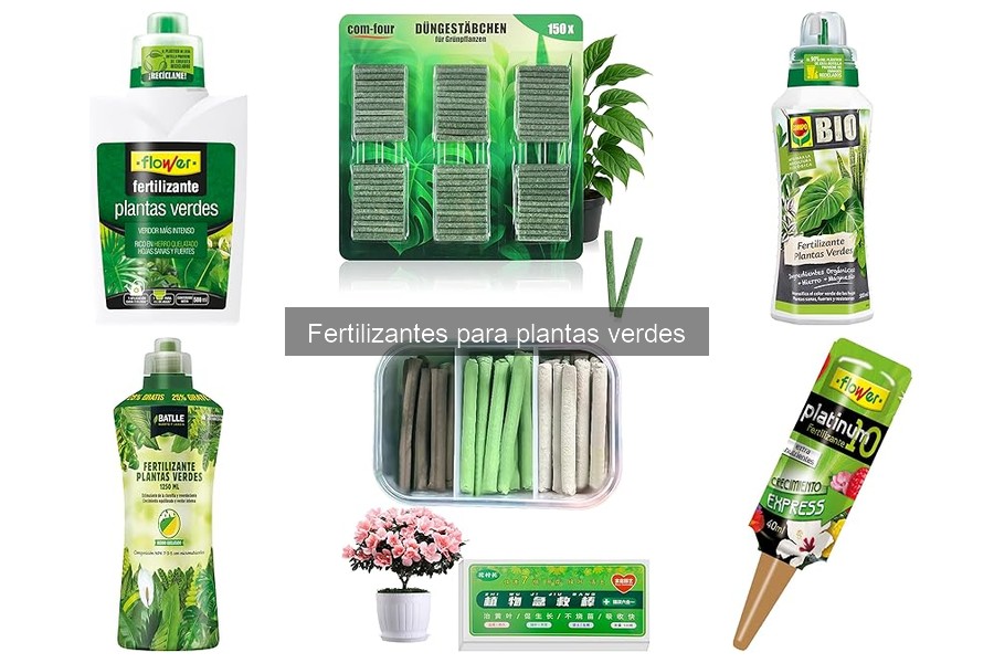 Problemas comunes al usar fertilizantes para plantas verdes