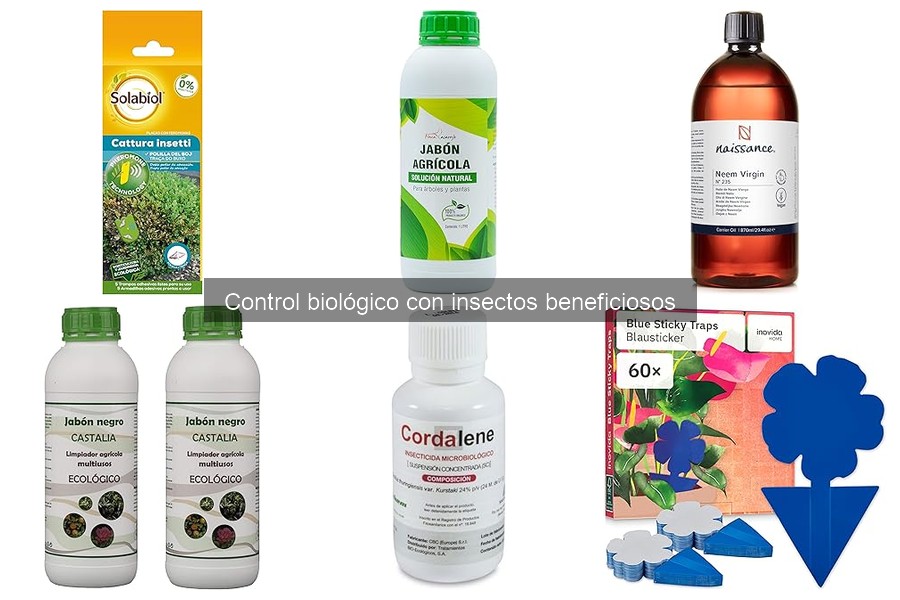 Problemas Comunes al Usar Insectos Beneficiosos en Jardines