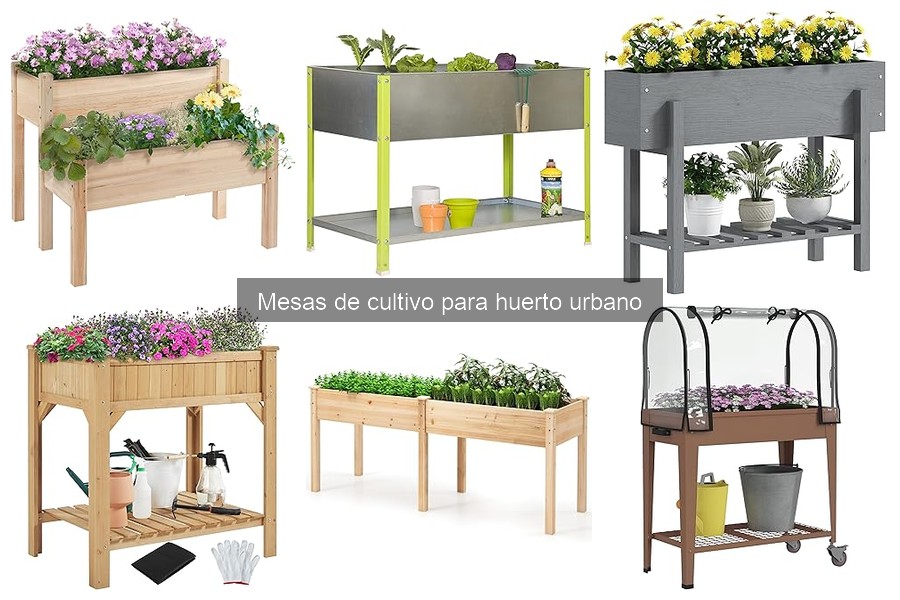 Problemas comunes al usar mesas de cultivo en huertos urbanos