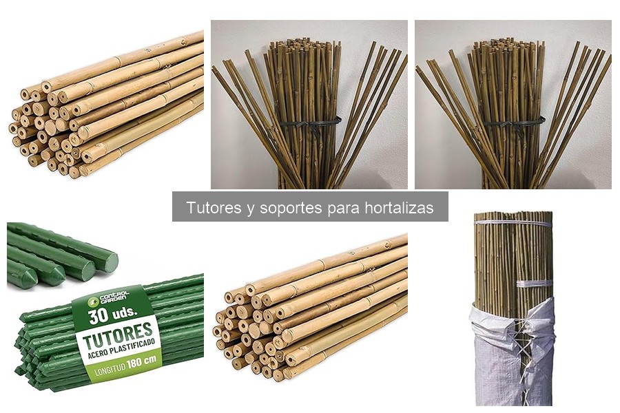 Problemas Comunes al Usar Tutores para Hortalizas