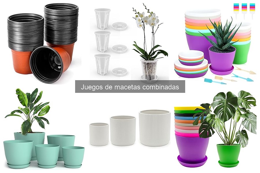 Problemas comunes con juegos de macetas combinadas y soluciones