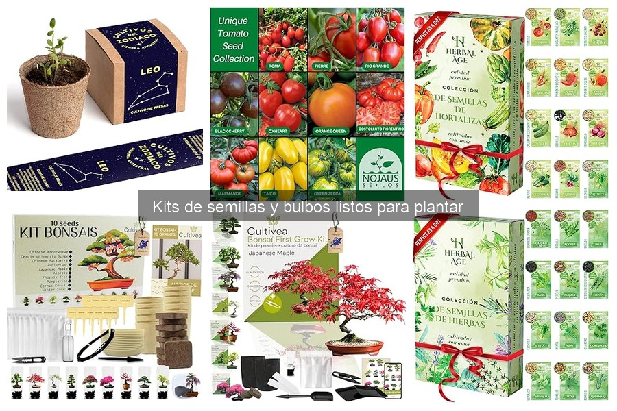 Problemas comunes con kits de semillas y soluciones efectivas