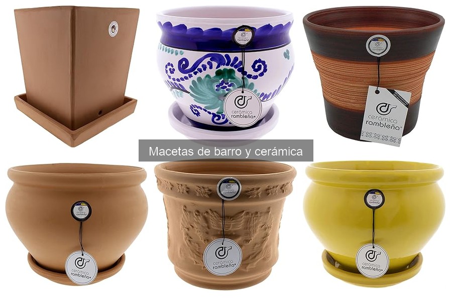 Problemas comunes con macetas de barro y cerámica