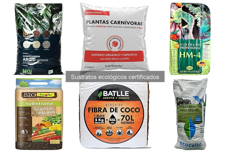 Problemas comunes con sustratos ecológicos certificados