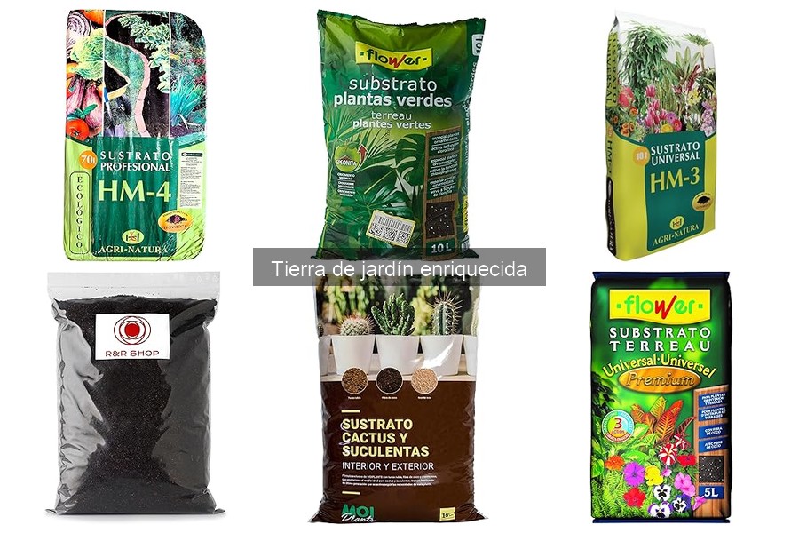 Problemas comunes con tierra de jardín enriquecida y soluciones