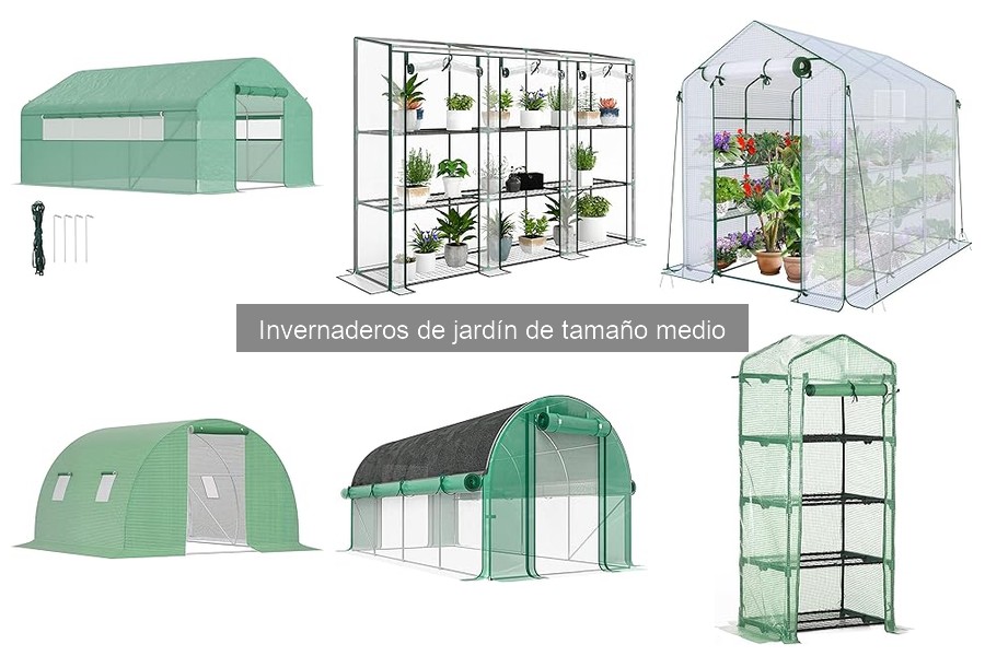 Problemas comunes en invernaderos de jardín y sus soluciones