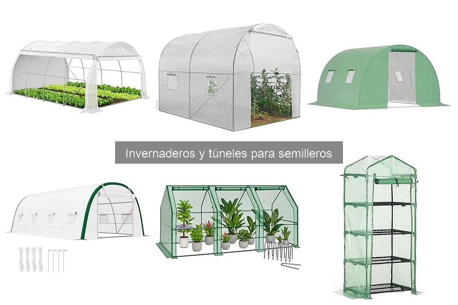 Problemas comunes en invernaderos y soluciones efectivas