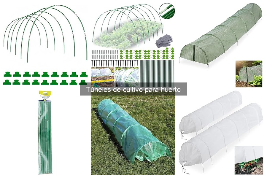 Problemas comunes en túneles de cultivo y soluciones efectivas