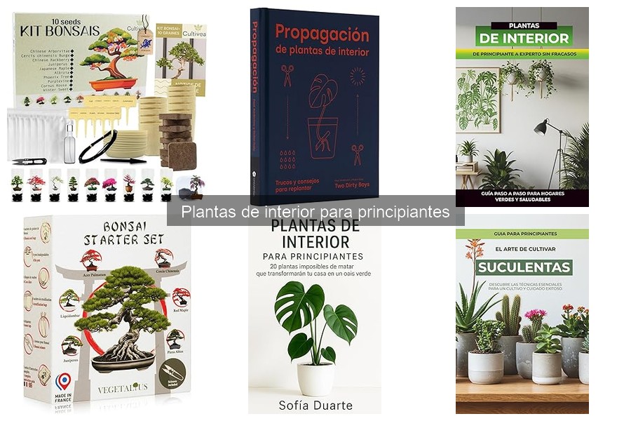 Propagación de Plantas de Interior para Principiantes
